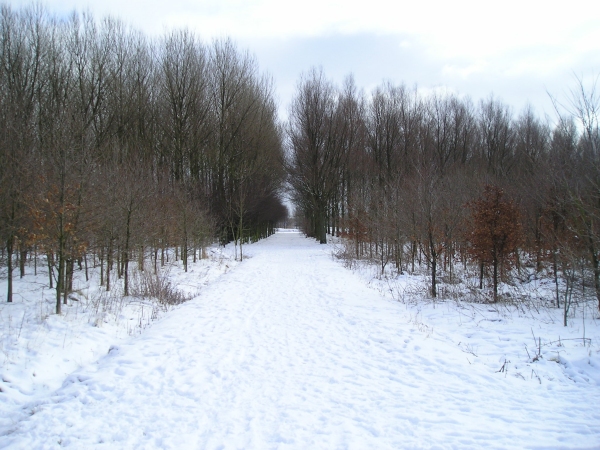 zoetermeer in de sneeuw